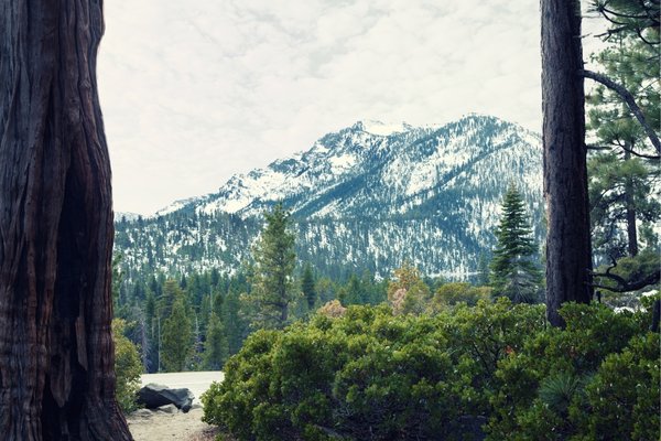 Fully Threaded Radio | Fastener FDI